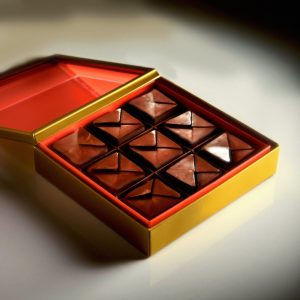 Box containing nine Mushroom Infused Chocolate Mini Dose candies, showcasing their decadent Costa Rican dark chocolate.